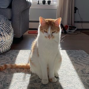 Meet your Posher, Megan